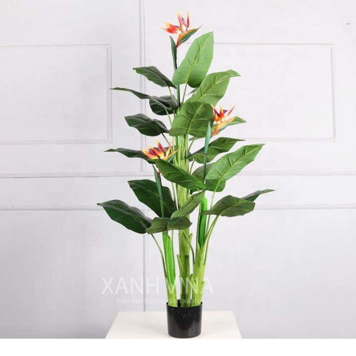 Cây Thiên Điểu Giả 150cm 3 hoa